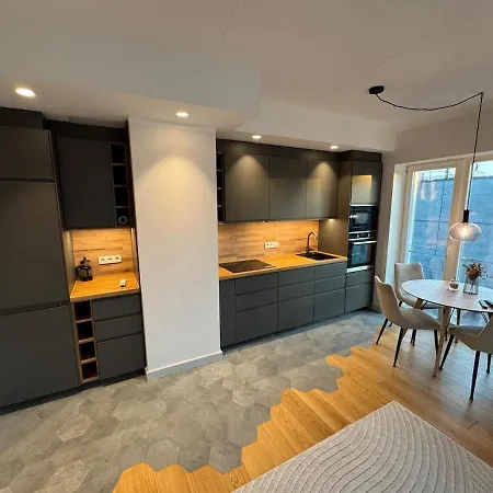 A Cozy In The Heart Of Tartu, Completed In 2025 아파트 타르투